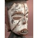 Cimier Janus Igbo 